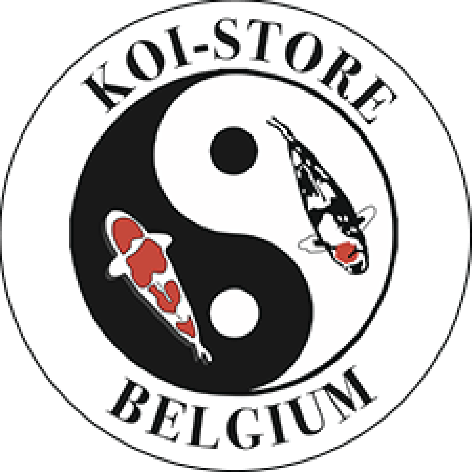 Profielfoto van Koi Store Belgium
