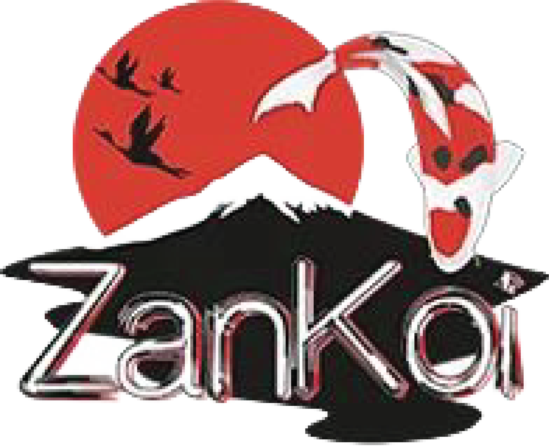 Profielfoto van Zankoi