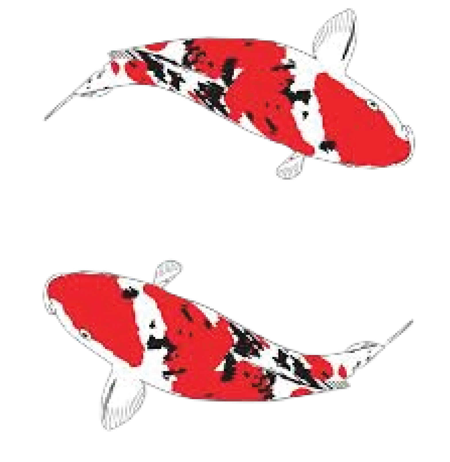 Profielfoto van De Watermolen