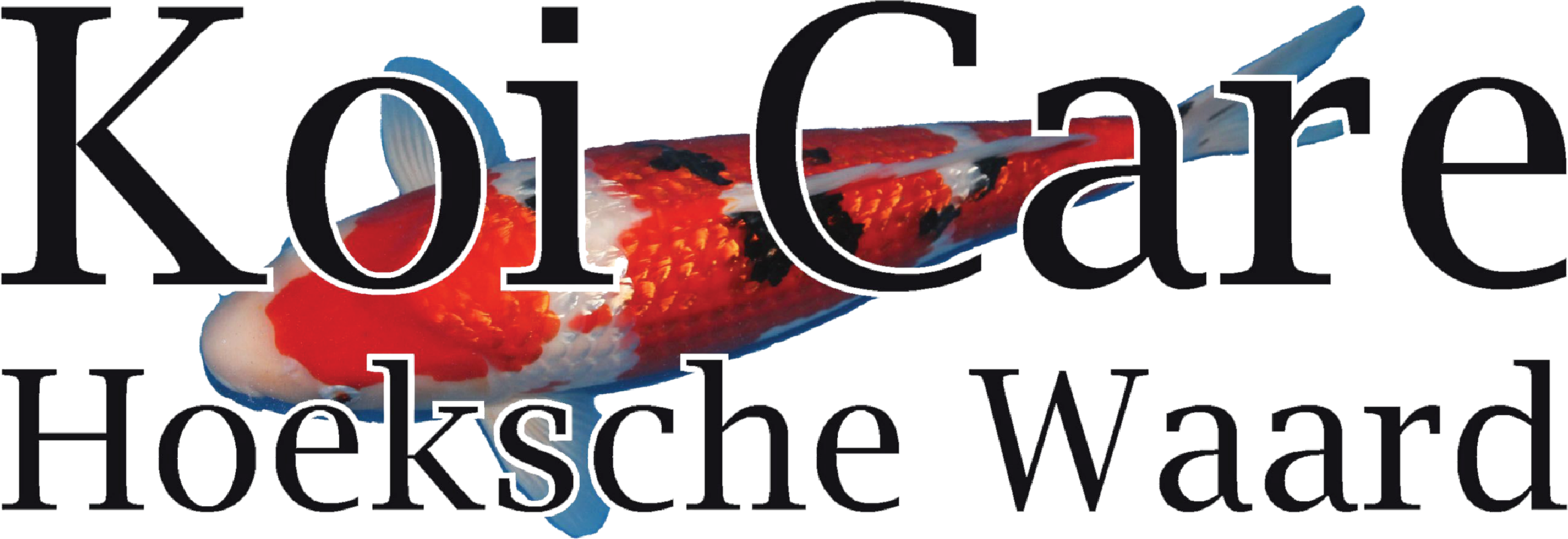 Profielfoto van Koi Care Hoeksche Waard
